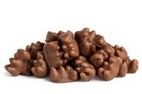 Chocolate Covered Gummy Bears