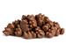 Chocolate Covered Gummy Bears